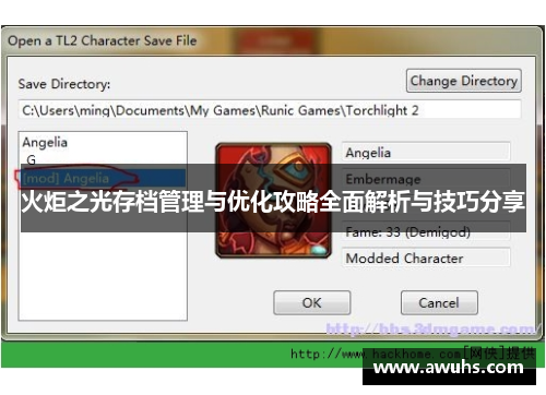 火炬之光存档管理与优化攻略全面解析与技巧分享
